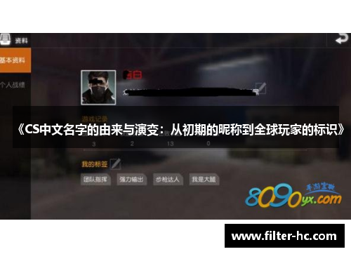 《CS中文名字的由来与演变：从初期的昵称到全球玩家的标识》