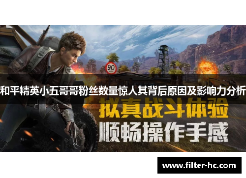 和平精英小五哥哥粉丝数量惊人其背后原因及影响力分析