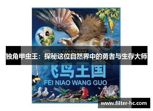 独角甲虫王：探秘这位自然界中的勇者与生存大师