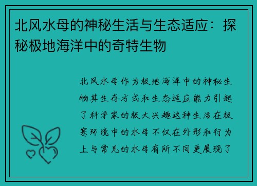 北风水母的神秘生活与生态适应：探秘极地海洋中的奇特生物
